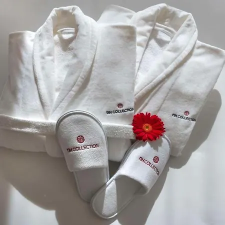 Nh Collection Aranzazu Hotel
